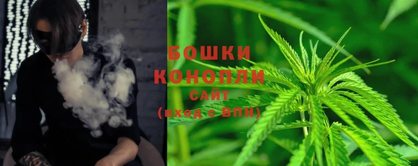 индика Сосновый Бор