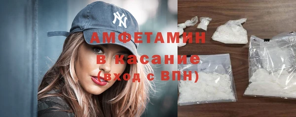 индика Сосновый Бор
