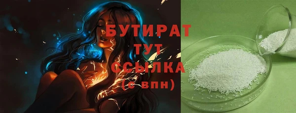 индика Сосновый Бор