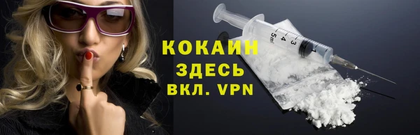 индика Сосновый Бор