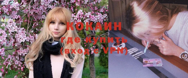 индика Сосновый Бор