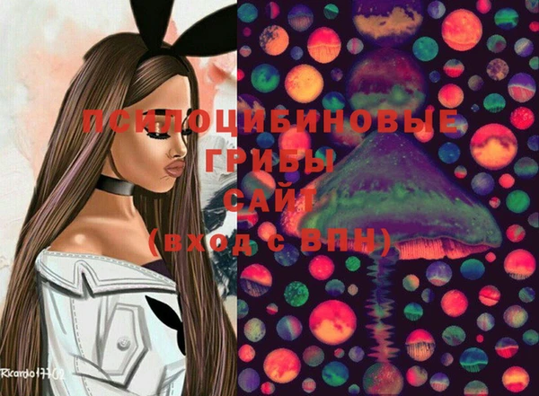 PSILOCYBIN Дмитриев