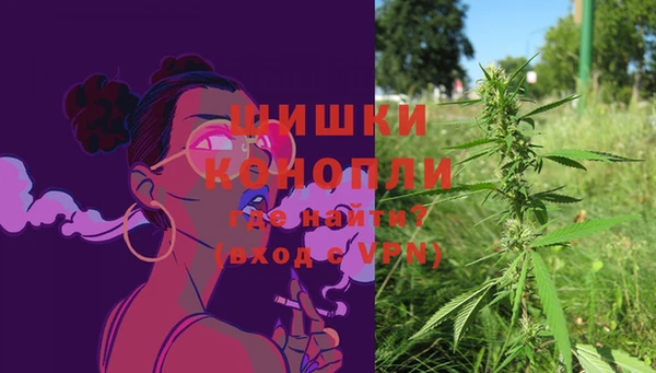apvp Дмитров