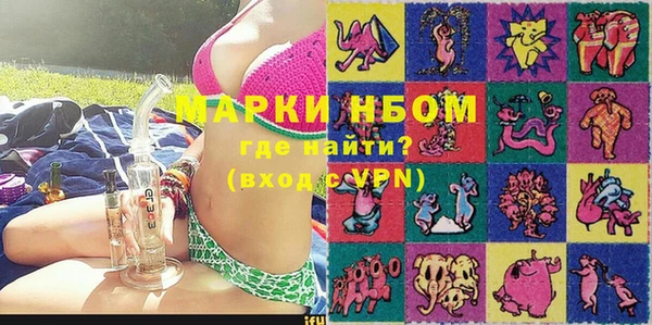 индика Сосновый Бор