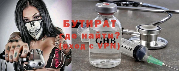 индика Сосновый Бор