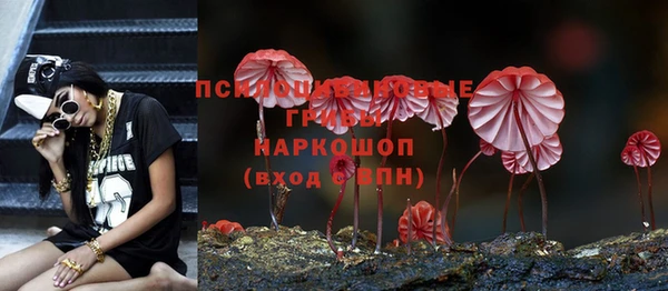 скорость Сосновоборск