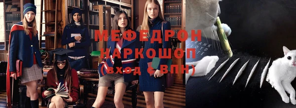 МДПВ Ельня