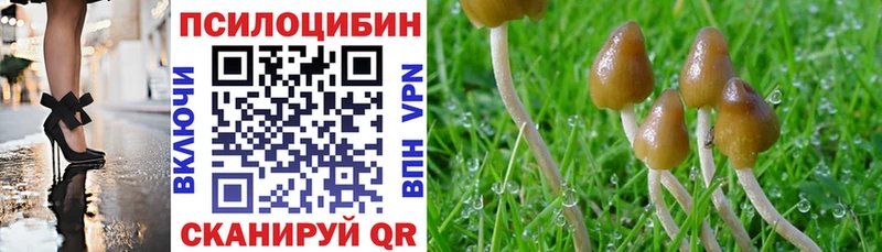 Галлюциногенные грибы мицелий  Купить  Сортавала 