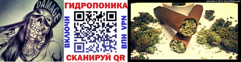 Купить где  Сортавала  МАРИХУАНА сатива 